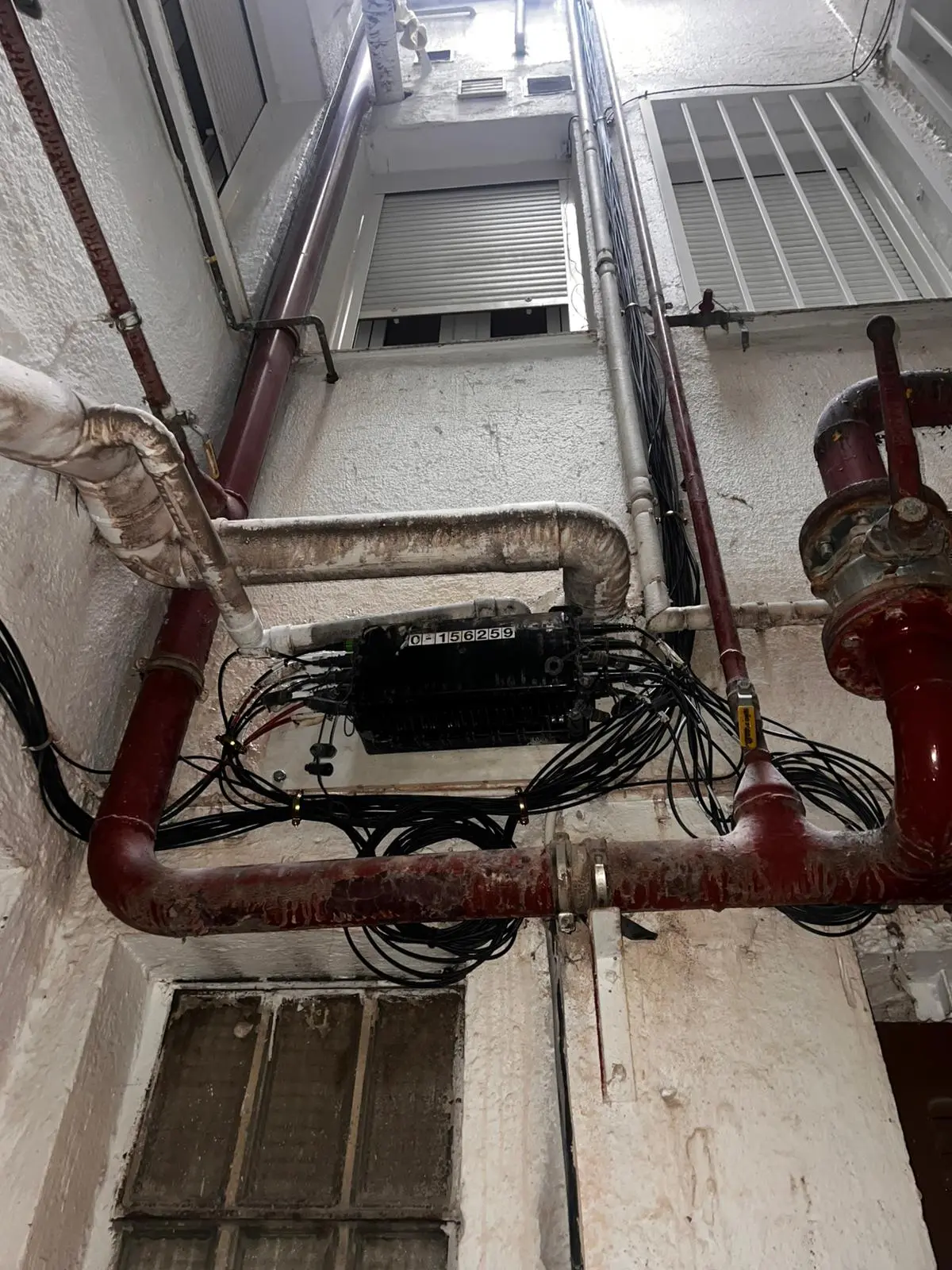 Cableado saneado, ordenado y seguro